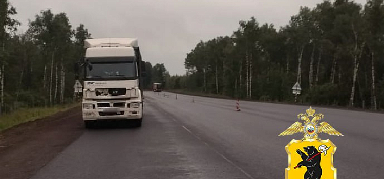 Ребёнок в больнице, мужчина погиб: в Ярославской области сбили двух пешеходов_277672