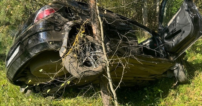 В Ярославской области спасли пенсионеров из застрявшего между деревьев автомобиля