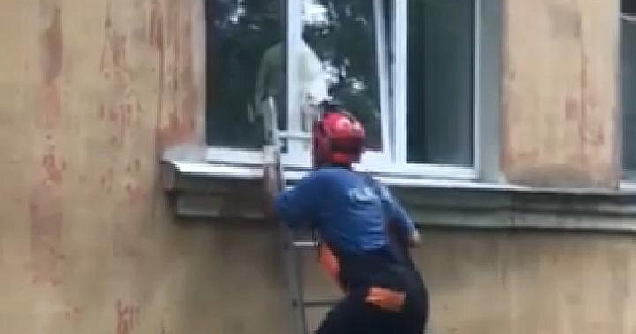 Ярославские спасатели освободили кота, зажатого оконной рамой_164853