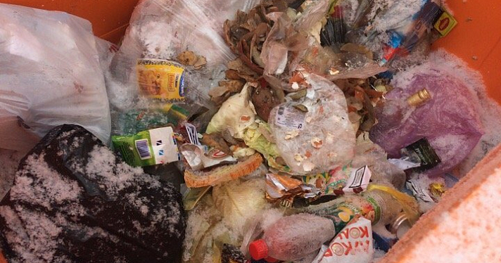 Ярославцев попросили присоединиться к общественному контролю за внедрением системы раздельного сбора мусора_156643