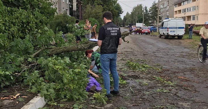 В Ярославской области женщину убило упавшее дерево_217364