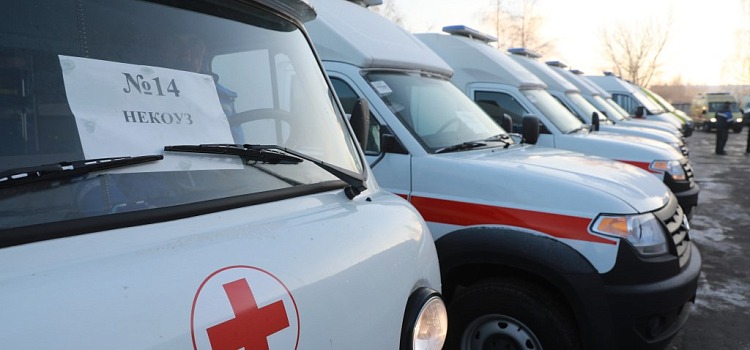 Михаил Евраев: больницы Ярославской области получили 14 новых машин скорой помощи_227427