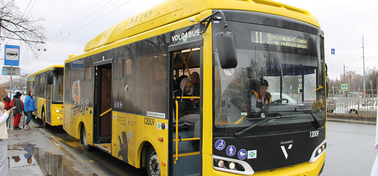 В ярославском автобусе молодой человек избил мужчину за сделанное замечание