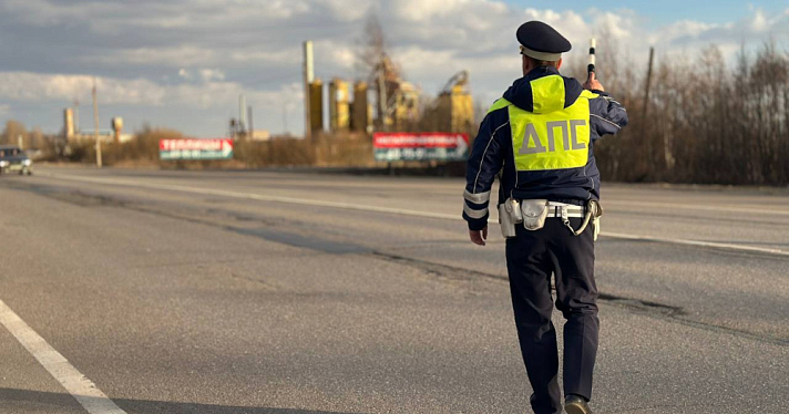 В Ярославской области полицейские помогли многодетной семье, оказавшейся в сложной ситуации на дороге