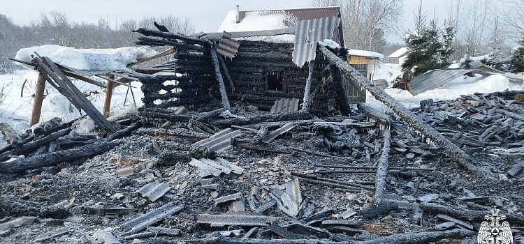 В деревне Ярославской области при пожаре пострадала пенсионерка_310401