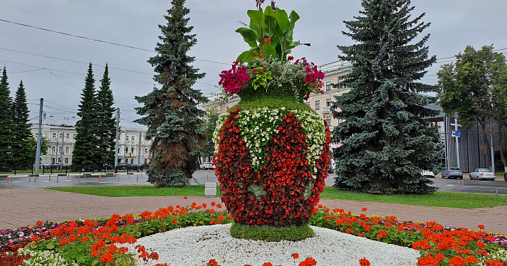 Медведи, рыбы, вазы: Ярославль украшают объемными цветочными композициями_245959