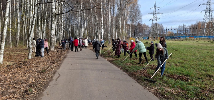 Ярославцы приняли участие в субботнике в Павловском парке_284985