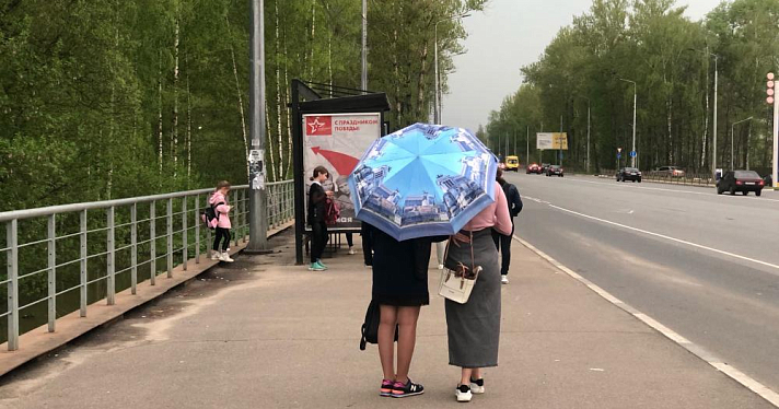 Грозы и штормовой ветер в Ярославле: экстреннее предупреждение от МЧС