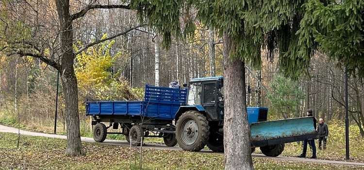 Ярославцы приняли участие в субботнике в Павловском парке_284990