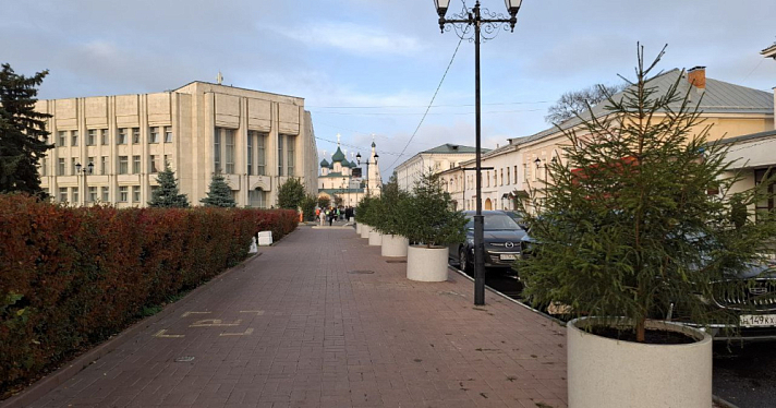 Улицу в центре Ярославля посреди октября украсили ёлками