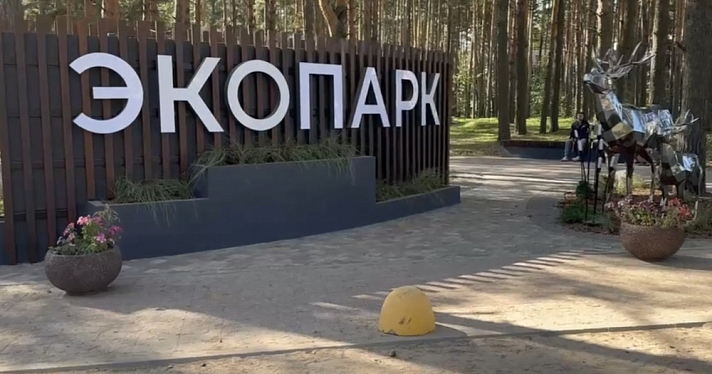 В Ярославской области по нацпроекту в этом году уже благоустроили 11 территорий