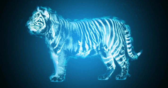 Голубой водяной тигр: что принесет ярославцам символ 2022 года