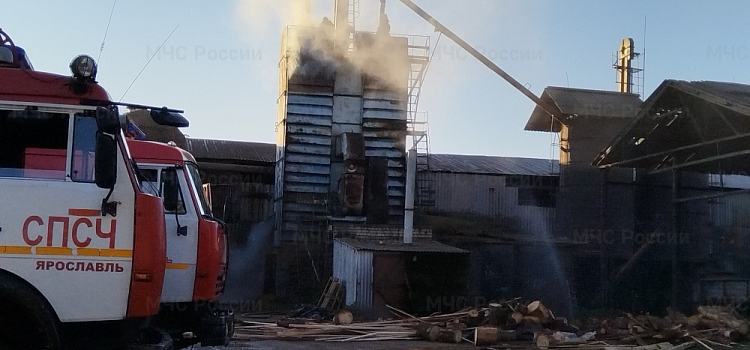 В Ярославском округе сгорело 15 тонн овса