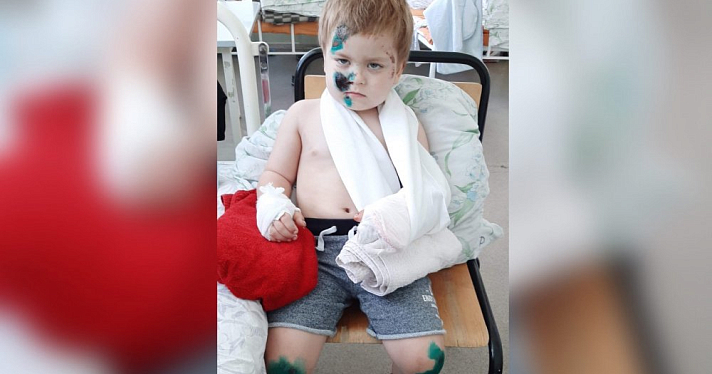 Малышу из Ярославля оформили инвалидность после страшного ДТП