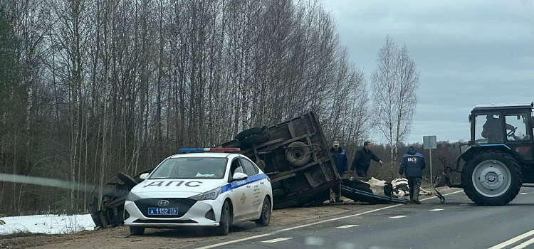 Животные погибли: в Ярославской области опрокинулся фургон, перевозивший коров_269056