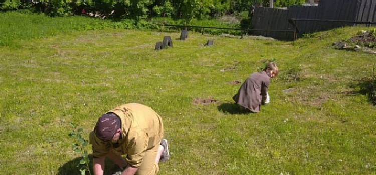 Акция «Сад Памяти»: в Большом селе появилась новая аллея