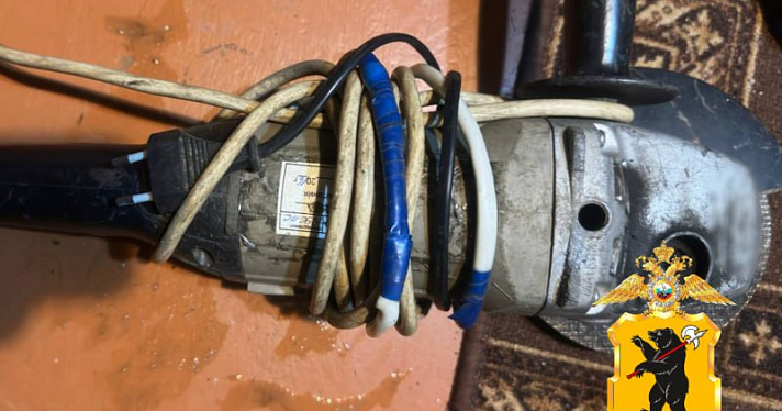 В Ярославской области задержали воришку икон и инструментов