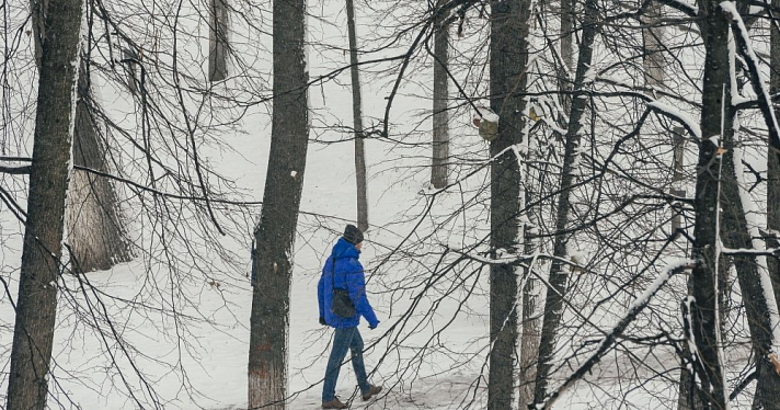Владимир Волков и Евгений Моисеев отчитались об уборке снега в Ярославле и области