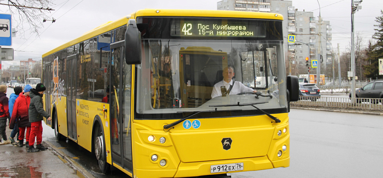 Водители ярославских автобусов стали дисциплинированнее