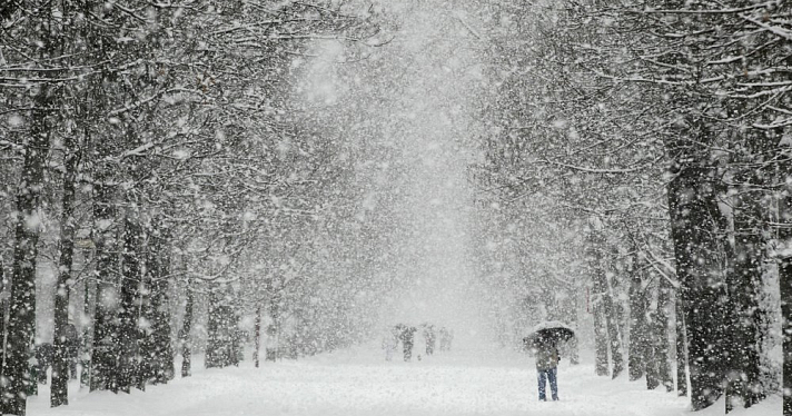 В МЧС опубликовали экстренное сообщение о снегопаде в Ярославле 