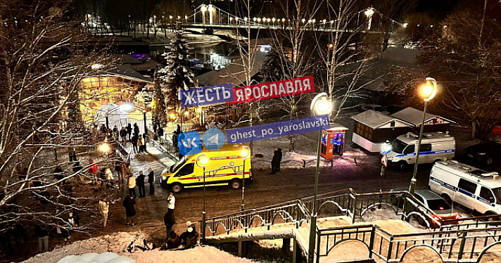 Екатерина Мизулина обратится в прокуратуру из-за давки в ярославском клубе