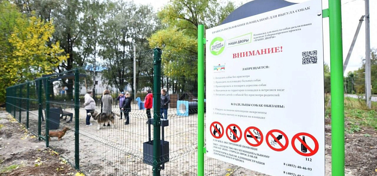 «Руки затряслись»: мужчина угрожал пистолетом ярославне из-за лая собак