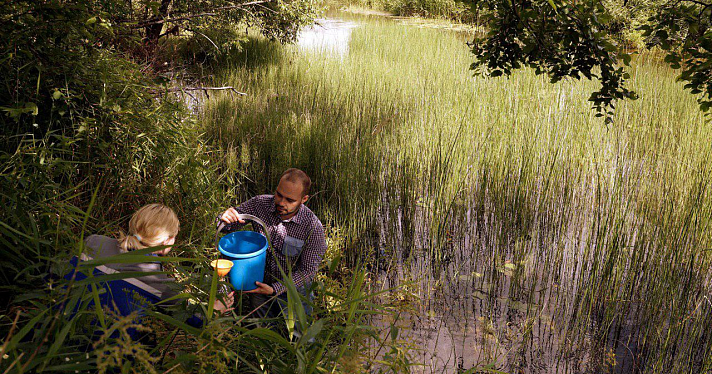 Взяли пробы воды у селивановского полигона в Угличском районе, где жители заявили о загрязнении реки стоками_159353