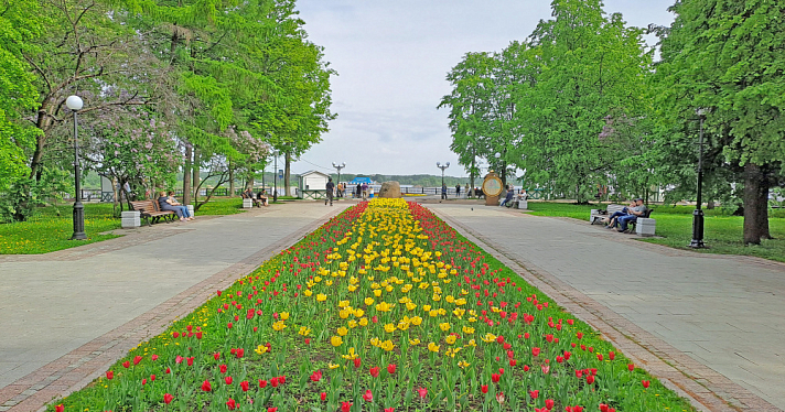 Ярославцам пообещали сюрприз в цветочном оформлении города