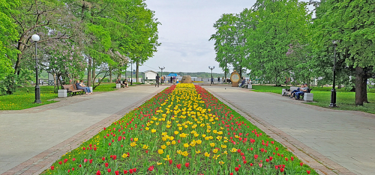 Ярославцам пообещали сюрприз в цветочном оформлении города