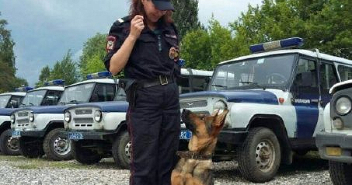 В Ярославле служебная собака Кристи нашла грабителя