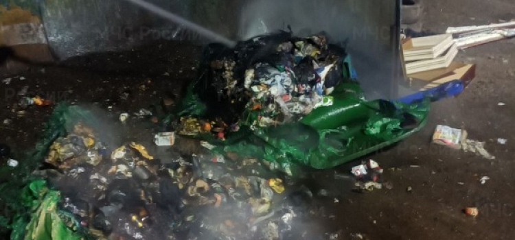 В Ярославле ночью сгорели семь мусорных контейнеров_269731
