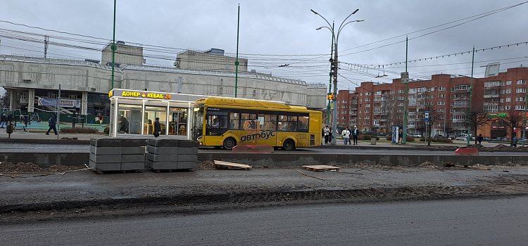 На улице Свободы в Ярославле может появиться клумба посреди дороги_256688