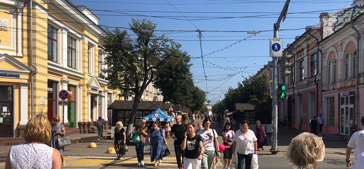 Более 84% ярославцев проголосовали дистанционно