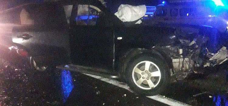 В Ярославской области в ДТП с грузовиком погибли двое детей_221622