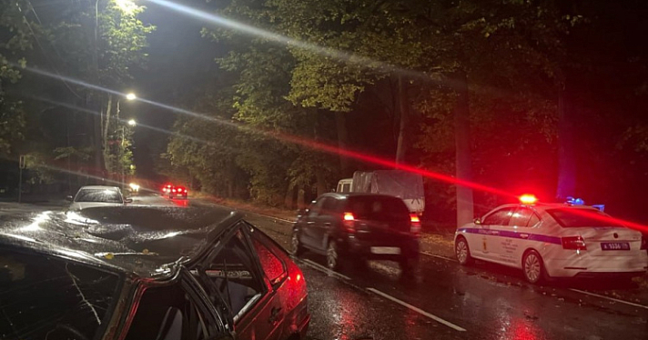 В Ярославле от сильного ветра дерево упало на автомобиль с людьми