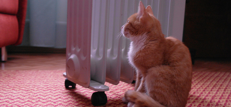 То в жар, то в холод: ярославцам объяснили внезапное отключение отопления