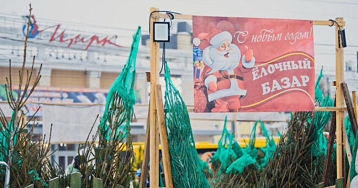 Ёлочные базары в Ярославле работают до 31 декабря: адреса