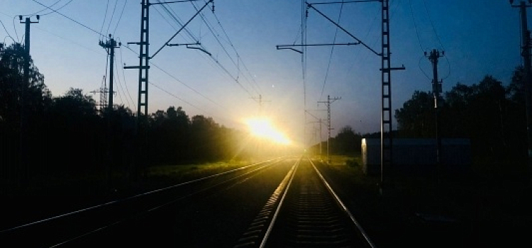 В Ярославской области подростки за 20 тысяч рублей устроили пожар на железной дороге