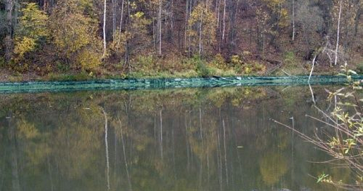 Фото дня. Сине-зеленые берега реки Ить в Ярославле и мертвые лягушки