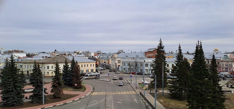 На центральных улицах Ярославля высадят клены и липы