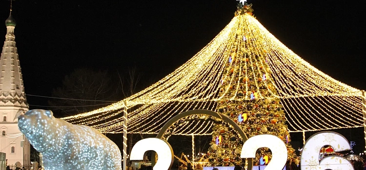 Ярославль в блеске новогодних огней: путешествие по зимней сказке_309192
