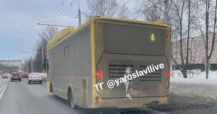 «Япоросёнок»: минтранс прокомментировал жалобы ярославцев на грязные автобусы_266835