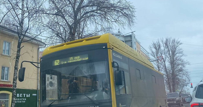 «Япоросёнок»: минтранс прокомментировал жалобы ярославцев на грязные автобусы_266834