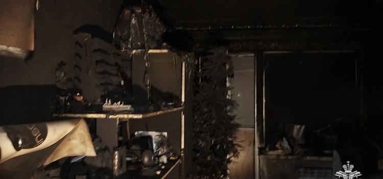 В Ярославле молодая семья с детьми погибла при пожаре в многоэтажке_290717