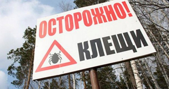 В Роспотребнадзоре назвали количество зараженных клещей в Ярославле
