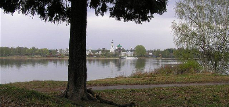 В Ярославле собирают подписи против застройки Павловской рощи