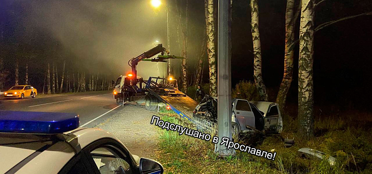 В Ярославском районе водитель врезался в дерево и оставил автомобиль_251459