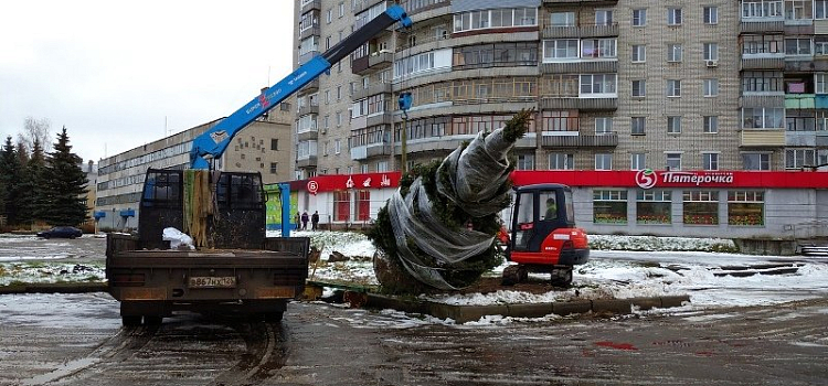 В Рыбинске к новогодним праздникам высадили живую ель: сколько стоит_169249