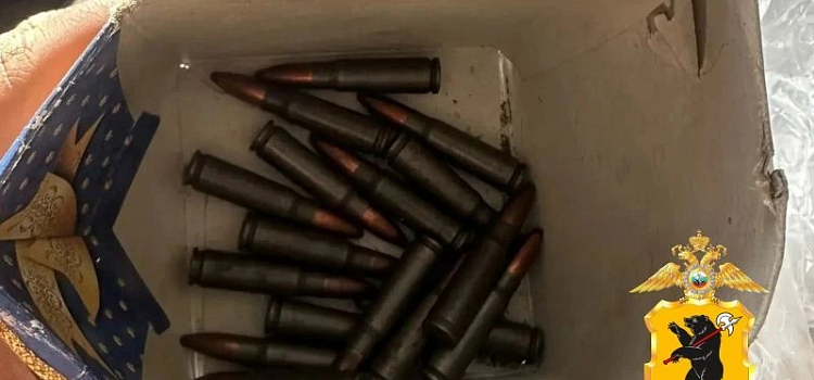 В Ярославской области у даниловского экс-охотника изъяли патроны