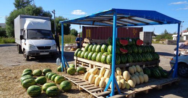 В Ярославской области обнаружили тонну нелегальных арбузов и дынь 